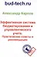 Эффективная система бюджетирования и управленческого учета. Практические советы и рекомендации — 2593457 — 1