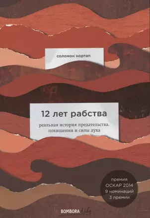 12 лет рабства. Реальная история предательства, похищения и силы духа — 2761802 — 1