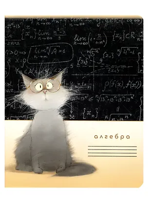 Тетрадь предметная в клетку "Кот учёный. Алгебра", 48 листов 2955260