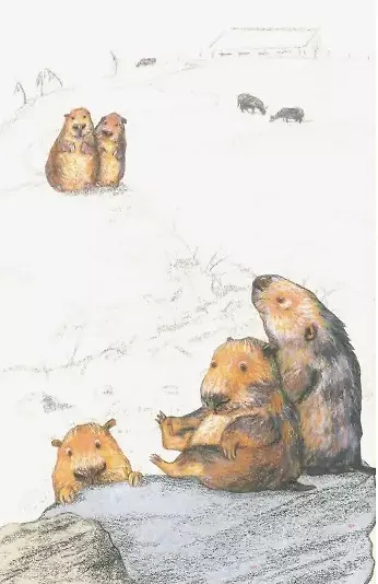 Книга Ночь кометы. Сказочная повесть для детей () — 2