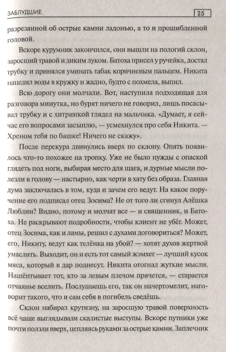Книга СПР Заблудшие (Денис Гербер) — 5