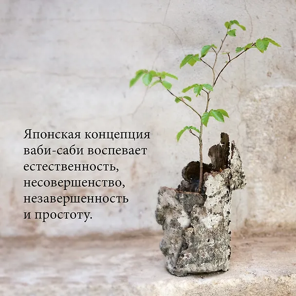 Книга Глоток счастья по-японски. Комплект из 3-х книг с шоппером (Кен Моги, Эрин Ниими Лонгхёрст, Рафаэль Видалинг) — 13