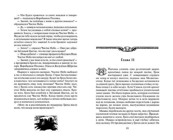 Книга Звёздная тропа (Эрин Хантер) — 9