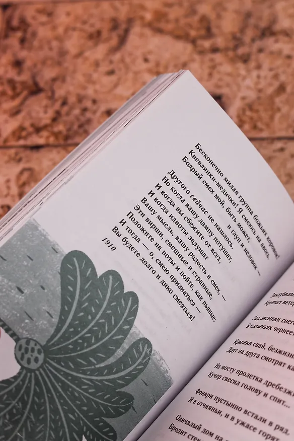 Книга "Здравствуй, Муза! Хочешь финик?" (Саша Чёрный) — 13