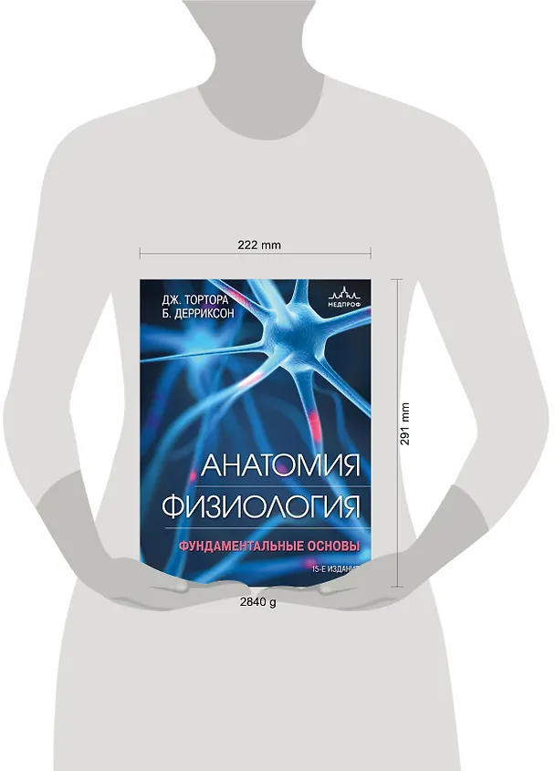 Книга Анатомия. Физиология. Фундаментальные основы. 15-е издание (Джерард Тортора, Брайан Дерриксон) — 6