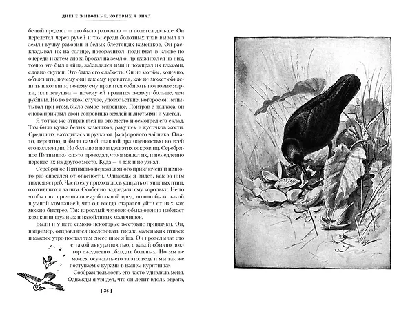 Книга Рассказы о животных (Эрнест Сетон-Томпсон) — 9
