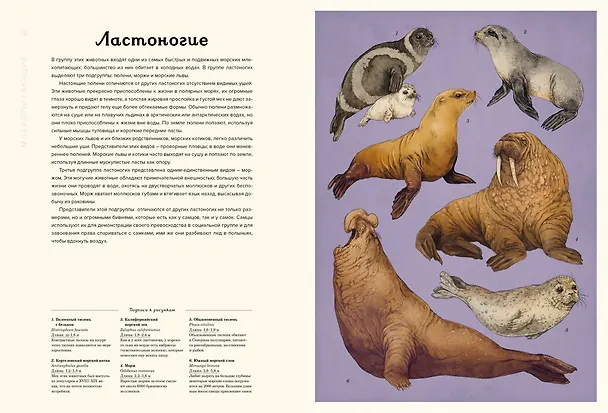 Книга Океанариум (Лавдэй Триник) — 16