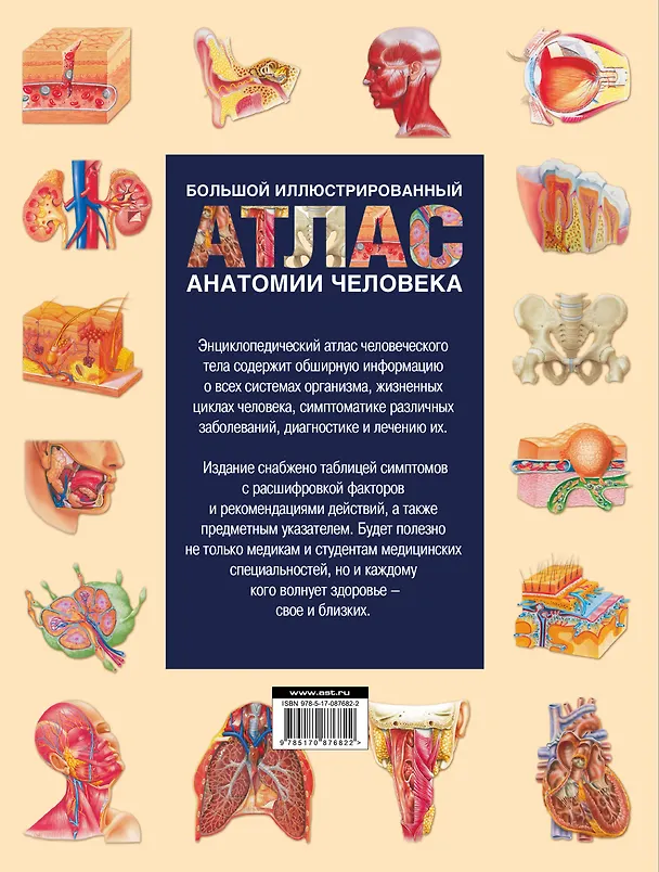 Книга Энциклопедический атлас человеческого тела (ISBN 5-17-038347-9 в суперобложке "Большой иллюстрированный атлас анатомии человека") (Т. Карпенко) — 2