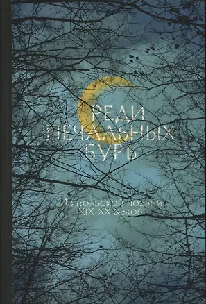 Книга "Среди печальных бурь...": Из польской поэзии ХIX-XX веков ()