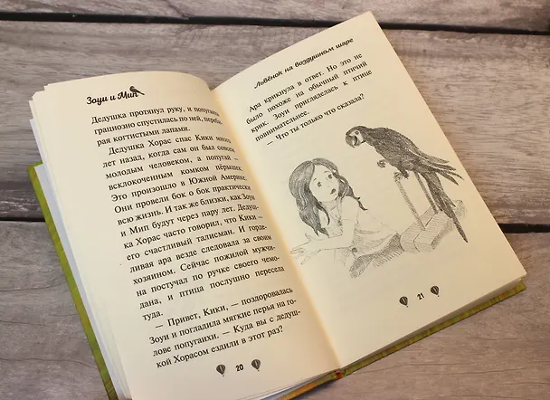Книга Львёнок на воздушном шаре (выпуск 1) (Амелия Кобб) — 9