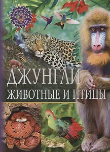 Джунгли.Животные и птицы