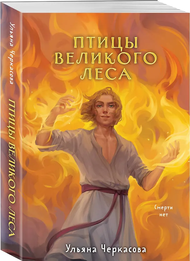 Книга Золотые земли. Птицы Великого леса (Ульяна Черкасова) — 4