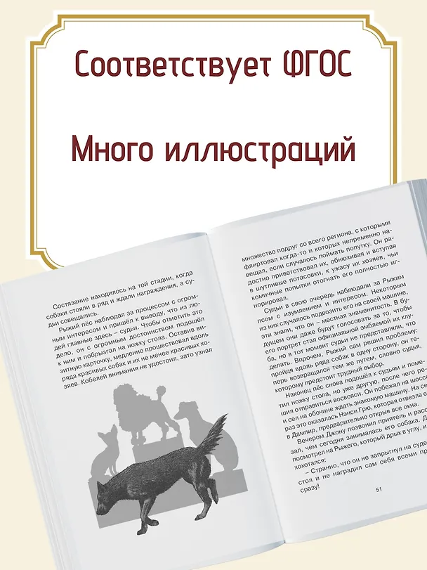 Книга Рыжий пёс (Луи де Берньер) — 4