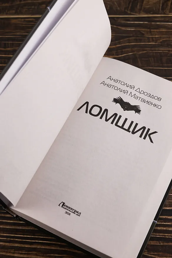 Книга Ломщик (Анатолий Дроздов, Анатолий Матвиенко) — 9