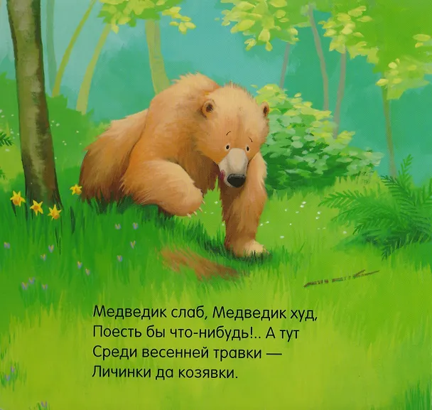 Книга Когда Медведик просыпается : поэзия, сказка (Карма Уилсон) — 2