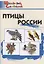 Птицы России. Начальная школа — 2893569 — 1