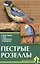 Пестрые розеллы. Обзор видов, уход, содержание — 1811097 — 1