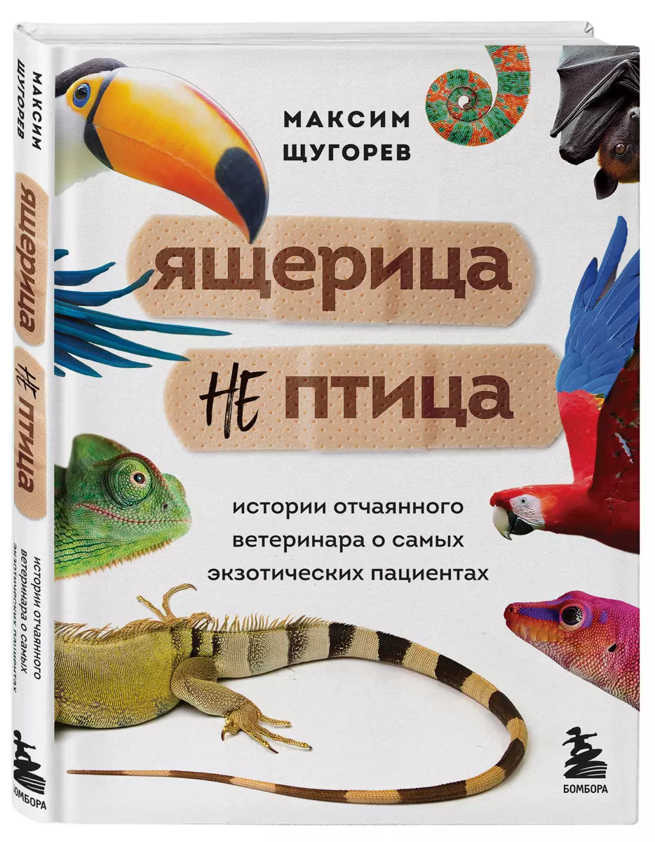 Ящерица не птица. Истории отчаянного ветеринара о самых экзотических  пациентах (Максим Щугорев) - купить книгу с доставкой в интернет-магазине  «Читай-город». ISBN: 978-5-04-117372-2