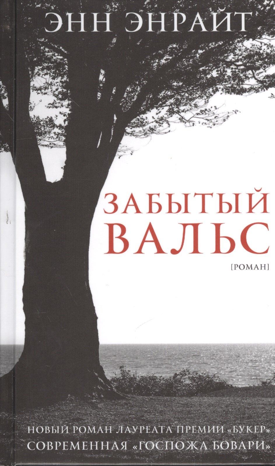 Забытый вальс: Роман