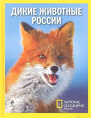 Дикие животные России (на суперобложке "Удивительные животные России") — 2290312 — 1