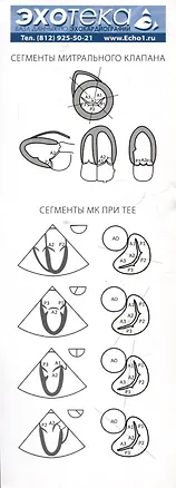 Книга Пособие по эхокардиографии (Эхотека) ()