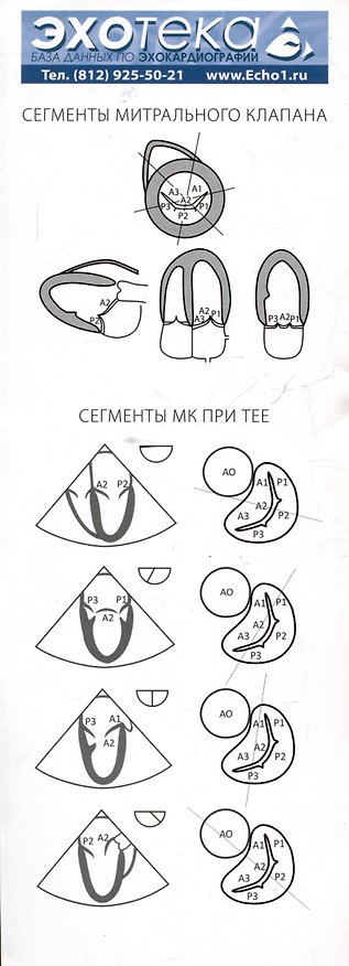 Книга Пособие по эхокардиографии (Эхотека) () — 1