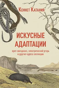 Искусные адаптации. Крот-звездонос, электрический угорь и другие чудеса эволюции
