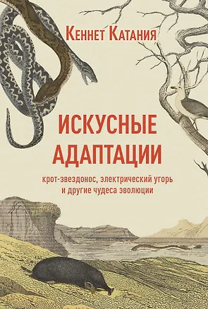 Книга Искусные адаптации. Крот-звездонос, электрический угорь и другие чудеса эволюции (Кеннет Катания)