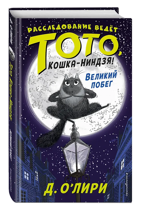 Книга Великий побег (выпуск 1) (Дэрмот О'Лири) — 5