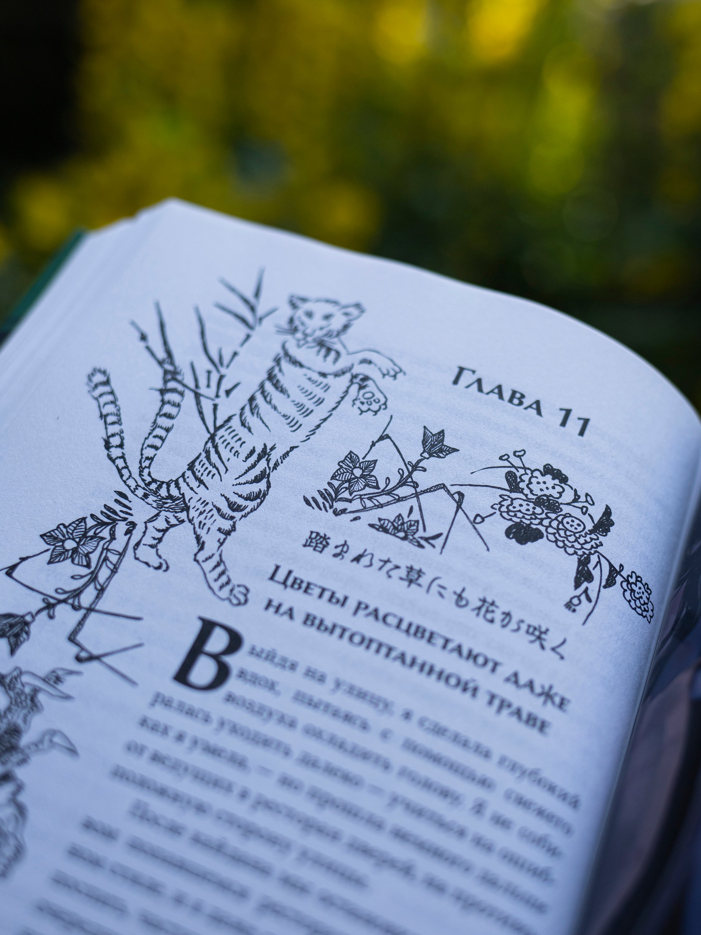 Изображение бумажной книги