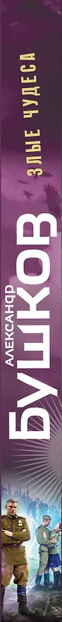 Книга Злые чудеса (Александр Бушков) — 3