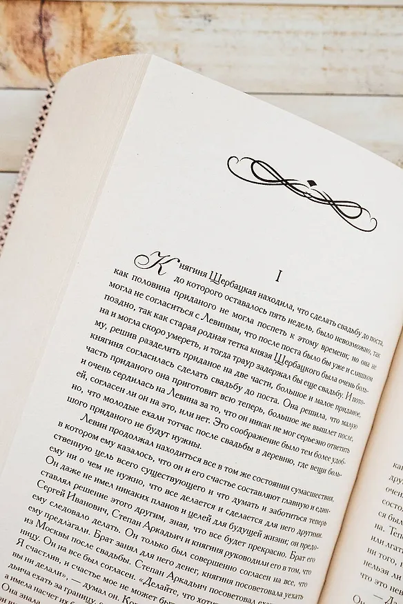 Книга Анна Каренина (Лев Толстой) — 8