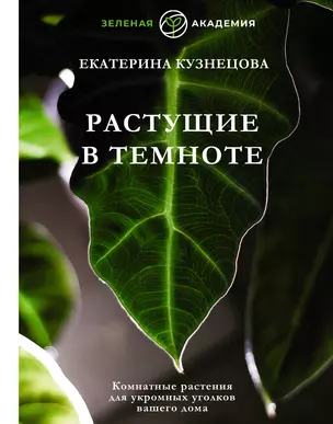 Растущие в темноте. Комнатные растения для укромных уголков вашего дома — 2965171 — 1