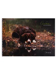 Альбом для рисования Unnika, "Пес у озера", А4, 30 листов, на гребне