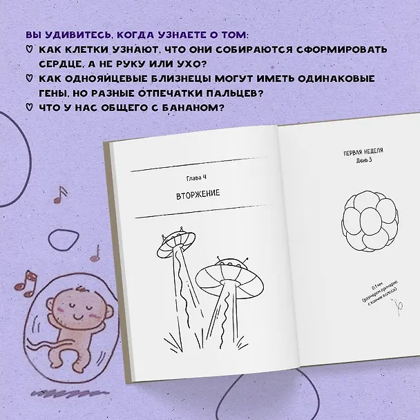 Книга 280 дней до вашего рождения. Репортаж о том, что вы забыли, находясь в эпицентре событий (Катарина Вестре) — 10