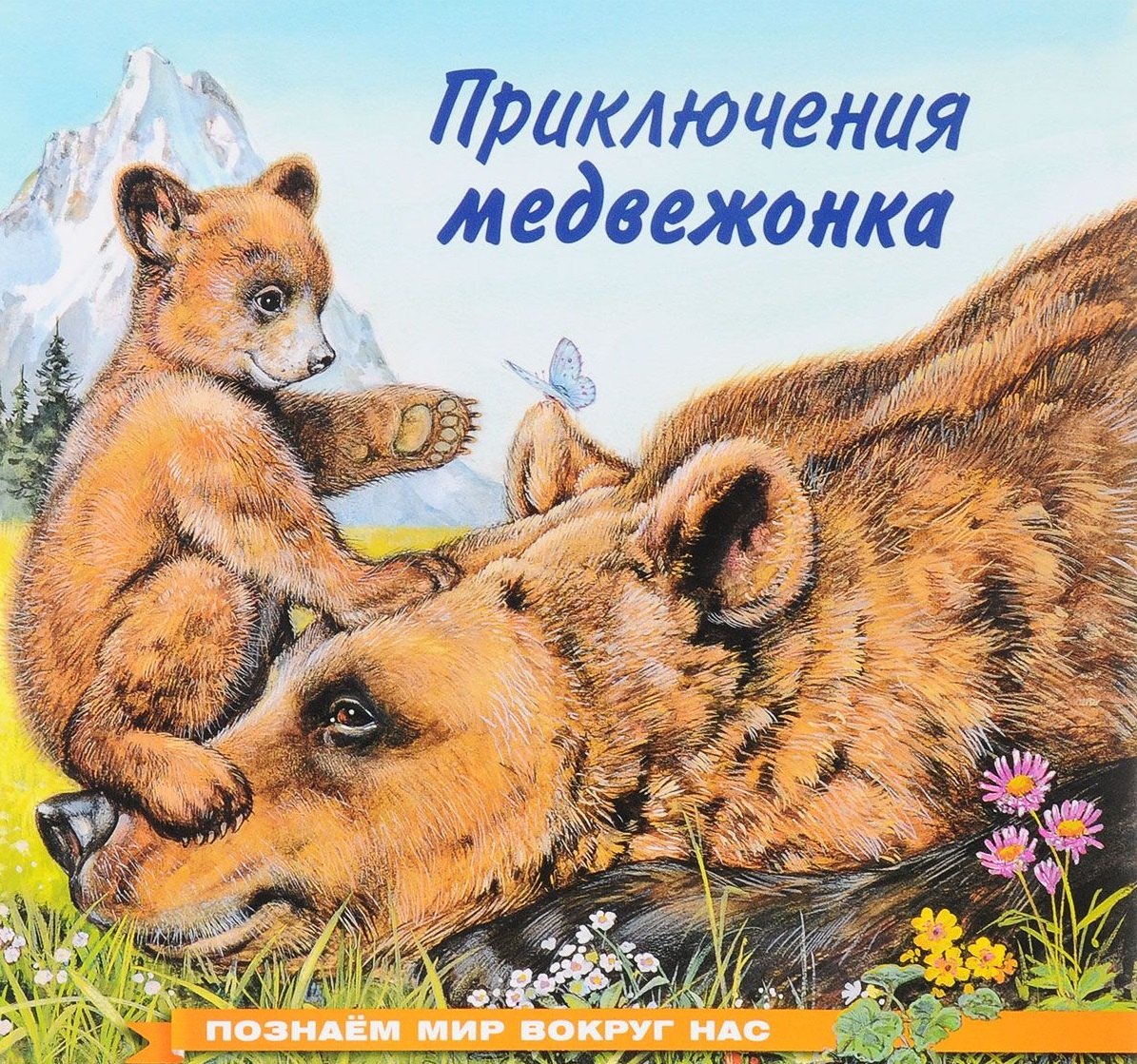 

Приключения медвежонка