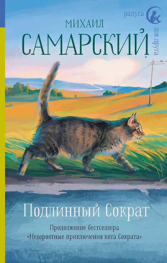 Книга Подлинный Сократ (Михаил Самарский) — 1
