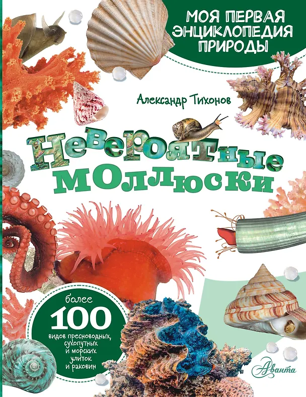 Книга Моллюски, кораллы, морские звезды, морские ежи (Александр Тихонов) — 1