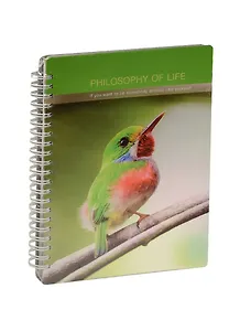 Тетрадь в клетку Be Smart, Birds, 96 листов