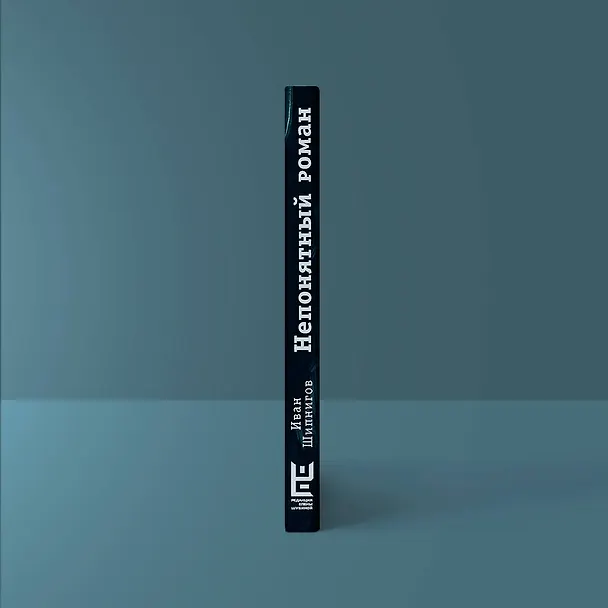 Книга Непонятный роман (Иван Шипнигов) — 10