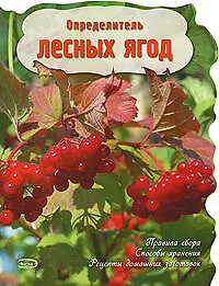 Определитель лесных ягод
