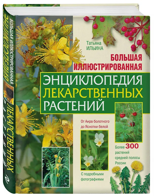 Книга Большая иллюстрированная энциклопедия лекарственных растений (Татьяна Ильина) — 4