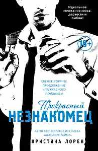 Прекрасный незнакомец: роман