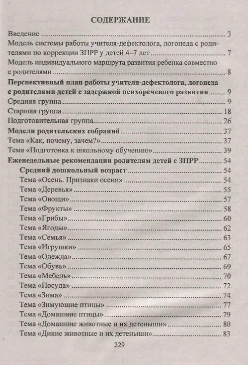 Книга Преодоление задержки психоречевого развития у детей 4-7 лет. Система работы с родителями, мастер-классы, планирование индивидуального маршрута ребёнка () — 2