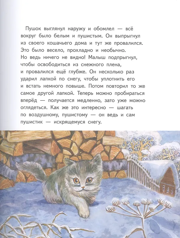 Книга Сказки для детей и взрослых (Саша Кругосветов) — 5