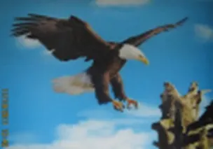 3D постер Орел (3D PS 41) 2292915