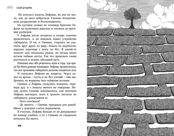 Книга Свидание во сне (Сюй Шуцинь) — 14