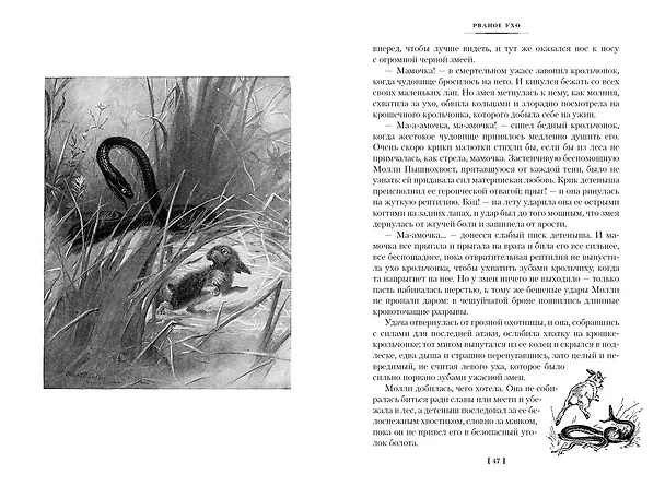 Книга Рассказы о животных (Эрнест Сетон-Томпсон) — 16
