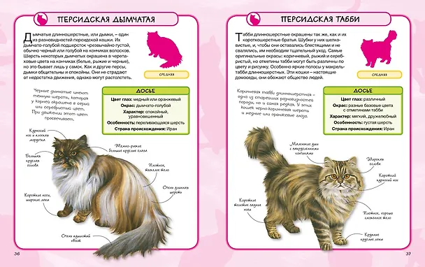 Книга Кошки (Камилла де ла Бедуайер) — 7