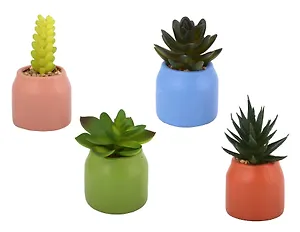 Цветочная композиция Суккулент в горшочке (11см) (12-EDENG-202505-HD34)